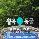 동굴로 | 근교/충주] 청주 근교 아기랑 갈만한곳 유모차 프리패스 충주 '활옥동굴' 카약&amp;꿀팁 대방출 (내돈내산)
