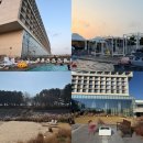 서해사우나 | 인천 영종도 네스트호텔 수영장 후기 사우나와 산책로까지 즐긴 호캉스