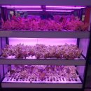 해천바이오 주식회사 이미지