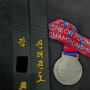 선태권도 이미지