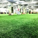 코앞휘트니스클럽 이미지