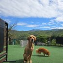 더히로 플레이그라운드 이미지