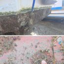 아쿠아테크 | 따개비 제거 지인추천 아쿠아가드 초음파방오