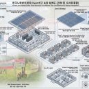 노화농장 서울신문