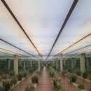 씨유태화햇살점 | 전포동 필라테스 언니네필라테스 솔직후기