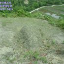 광시면 서초정보건진료소 네이버블로그