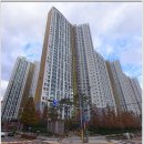 차오름부동산공인중개사사무소 이미지