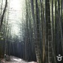 낙동강체육공원 축구장 화장실 이미지