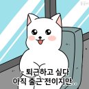 유성청구(1차) 이미지