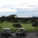 위례제주도니 이미지