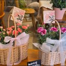 레플레르 이미지