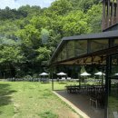 마비정길 | 대구 근교 카페 추천 자연충만｜잔디정원 있는 힐링카페