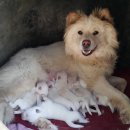 울산농장 이미지