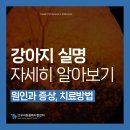 우리동물메디컬센터 이미지