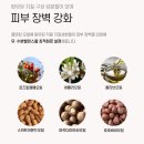 퍼펙트존 | 블랙헤드 케어 가능한 딥클렌징오일 추천｜라누벨뽀 에끌라 퍼펙트 클렌징 오일 사용 후기