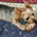 까까주까 이미지