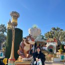 알라딘게임장 이미지