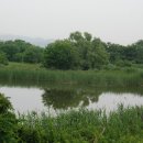 사동주유소 이미지