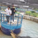 아란농장 이미지