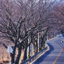 등마루공원 이미지