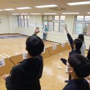 슬기로운 과학실험 이미지