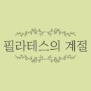 필라테스의계절