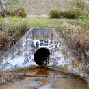 줄포만 게스트하우스 이미지