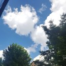 퓨어골프아카데미 이미지