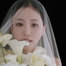 클래식빈트