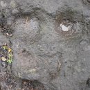 상예동-6 이미지