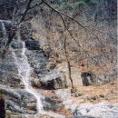 백암슈퍼 이미지