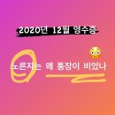 2020년 12월 영수증. 추천템도 함께!