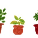 (주)에스엠바이오텍 이미지