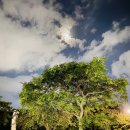 신산공원 이미지