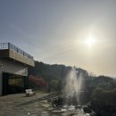 2 | [양양] 양양은 송이버섯이지 | 송이버섯마을 송이버섯 전골 내돈내산 후기