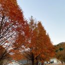 은석캠핑장 | [캠핑장리뷰]가평캠핑장 은석오토캠핑장 후기 및 정보