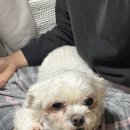 통큰왕만두화북점