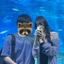 깜냥헤어 | [7월 4주차~8월 1주차] 돌고도는 계절이 노래라면 후렴구는 여기야