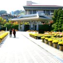 유엔 참전 기념탑 이미지