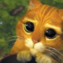 리스튜디오 이미지