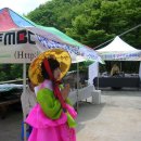 자혜로 Daum카페
