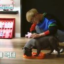 슬로독 이미지