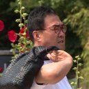 백년손님 이미지