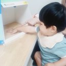 7월 2주차 가람둥이 두번째 이야기🩷 이미지