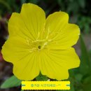 송내역부동산공인중개사사무소 이미지