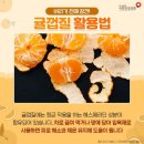 비타창고
