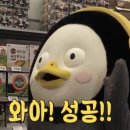 친환경농산물 - 12475 | 친환경농산물