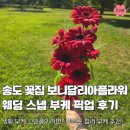 빨간옷가게플라워 | 인천 송도 꽃집 보니달리아플라워, 웨딩 스냅 빨간 거베라 부케 픽업 후기