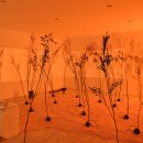 신사푸드 이미지