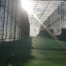 대아골프랜드 이미지